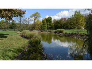 440 N Old State Rd, Delaware, OH 43015 photo 21