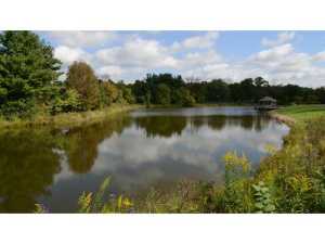 440 N Old State Rd, Delaware, OH 43015 photo 20