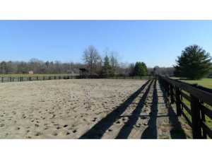 440 N Old State Rd, Delaware, OH 43015 photo 19