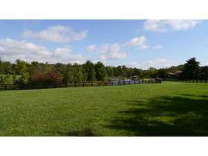 440 N Old State Rd, Delaware, OH 43015 photo 24