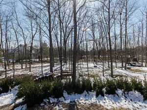 40 Timberknoll Loop, Powell, OH 43065 photo 25