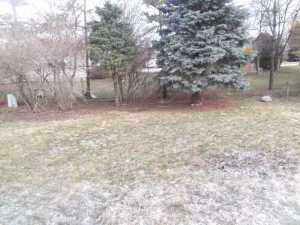 3814 Farmbrook Ln, Columbus, OH 43204 photo 9