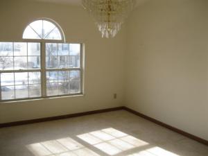 22 Chenango Dr, Powell, OH 43065 photo 19