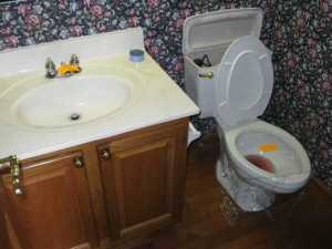 22 Chenango Dr, Powell, OH 43065 photo 5