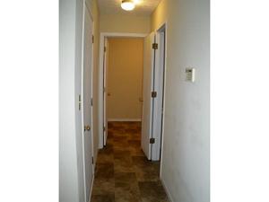 151 Bendelow Dr, Delaware, OH 43015 photo 8