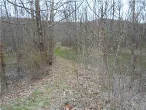 2450 State Route 73, Otway, OH 45657 photo 5