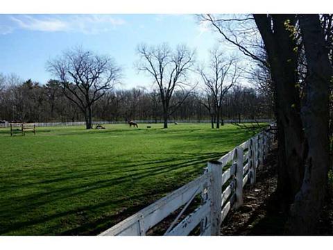 7250 Coffman Rd, Dublin, OH 43017 photo 4