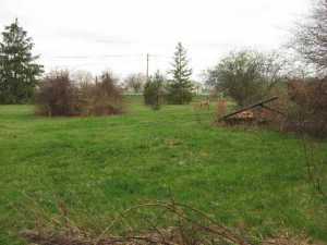 6920 State Route 56, Circleville, OH 43113 photo 13