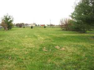 6920 State Route 56, Circleville, OH 43113 photo 11