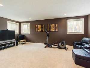 8583 Maple Leaf Ct, Powell, OH 43065 photo 19