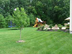 8583 Maple Leaf Ct, Powell, OH 43065 photo 24