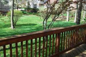 331 Tree Haven Ave, Powell, OH 43065 photo 23