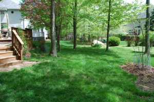 331 Tree Haven Ave, Powell, OH 43065 photo 22