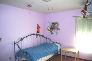 331 Tree Haven Ave, Powell, OH 43065 photo 16