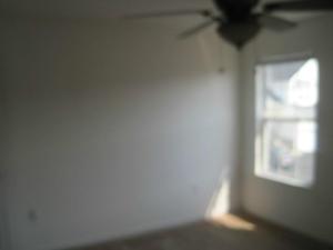 396 Pristine Path, Blacklick, OH 43004 photo 18