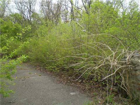 173 E Wilson Bridge Rd, Worthington, OH 43085 photo 2