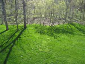 5481 Heathrow Dr, Powell, OH 43065 photo 25