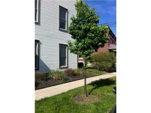 140 E 3rd Ave, Columbus, OH 43201 photo 17