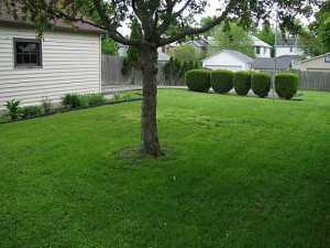 346 E Allen St, Lancaster, OH 43130 photo 4
