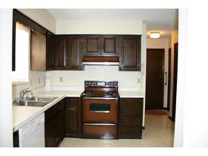 1237 Slade Ave, Columbus, OH 43235 photo 6