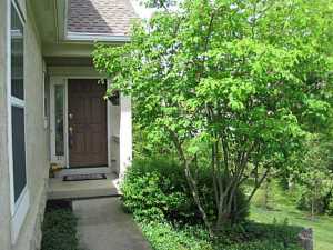 4927 Tempe Rd, Powell, OH 43065 photo 24