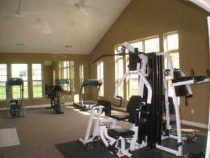 27 Murphys View Pl, Powell, OH 43065 photo 23