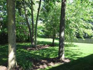 857 Buehler Dr, Delaware, OH 43015 photo 21