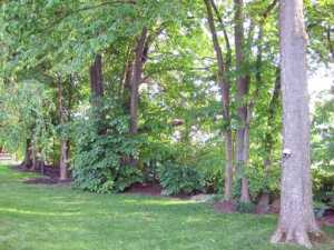 7635 Tullymore Dr, Dublin, OH 43016 photo 2