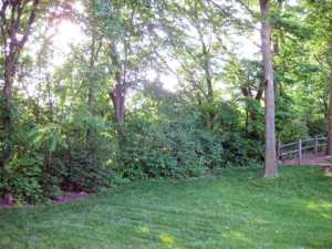 7635 Tullymore Dr, Dublin, OH 43016 photo 4