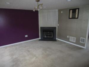 336 Pristine Path, Blacklick, OH 43004 photo 5