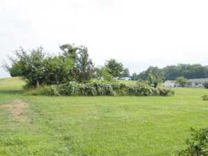 5724 Spring Hill Rd, Newark, OH 43056 photo 21