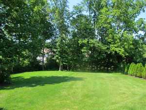1302 Berkeley Ct, Powell, OH 43065 photo 5