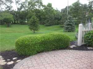 5867 Dunabbey Loop, Dublin, OH 43017 photo 16