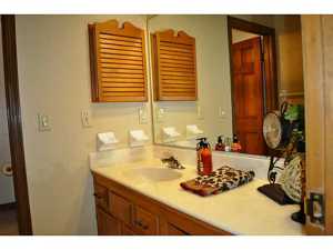 256 Old Spring Ln, Dublin, OH 43017 photo 12