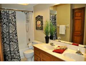 256 Old Spring Ln, Dublin, OH 43017 photo 14