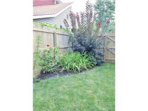 286 Shepper Ave, Plain City, OH 43064 photo 21