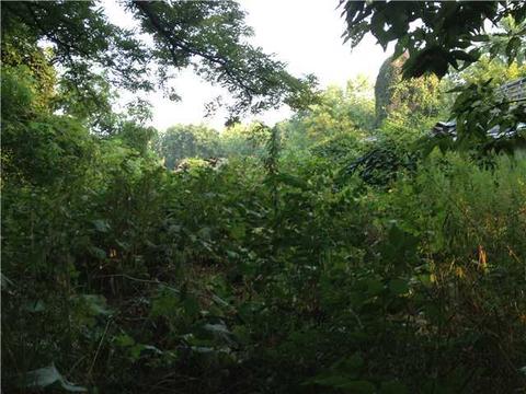 11840 Smith Rd, Lithopolis, OH 43136 photo 5