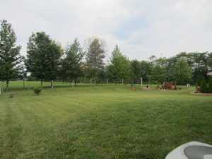 9475 Strawser St, Orient, OH 43146 photo 3