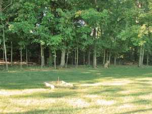 7778 Cubbage Rd, Westerville, OH 43081 photo 19