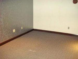 7778 Cubbage Rd, Westerville, OH 43081 photo 14