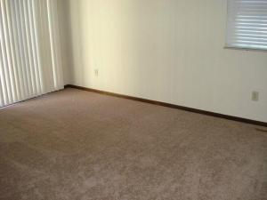 7778 Cubbage Rd, Westerville, OH 43081 photo 11