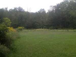 4561 Gratiot Rd, Heath, OH 43056 photo 2