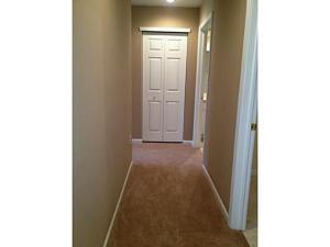4716 Turning Leaf Pl, Powell, OH 43065 photo 10