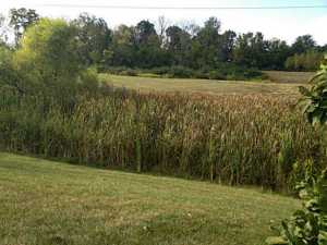 4716 Turning Leaf Pl, Powell, OH 43065 photo 19