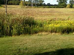 4716 Turning Leaf Pl, Powell, OH 43065 photo 18