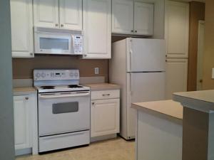 4716 Turning Leaf Pl, Powell, OH 43065 photo 3