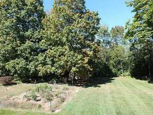 86 E Cherokee Dr, Powell, OH 43065 photo 21