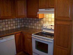 202 Coover Rd, Delaware, OH 43015 photo 8