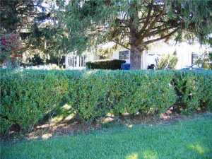 73 N Maple Dr, Hebron, OH 43025 photo 6