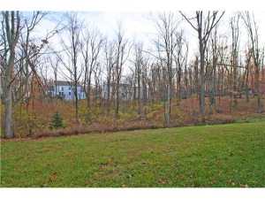 257 Pinecrest Dr, Delaware, OH 43015 photo 22